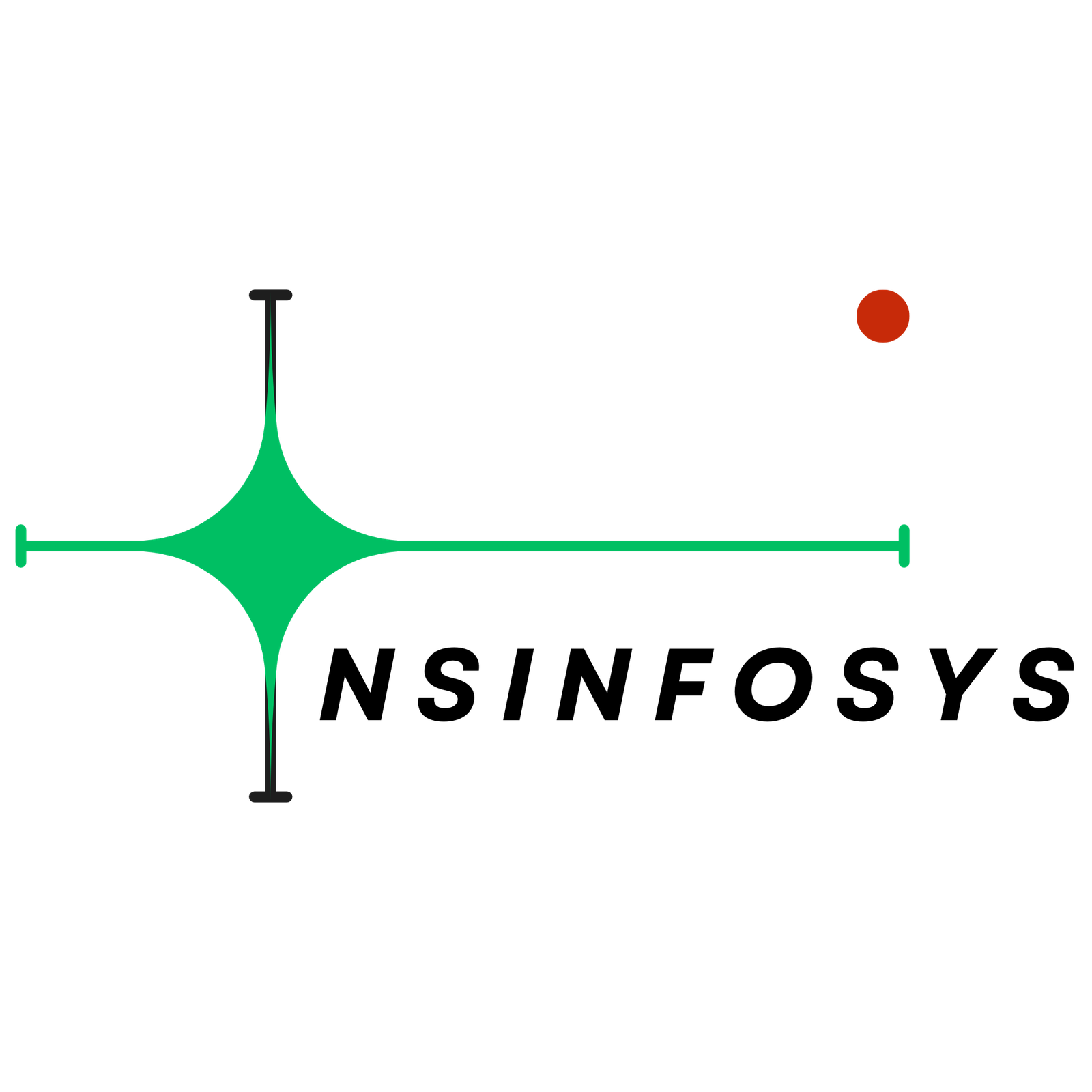 NSINFOSYS